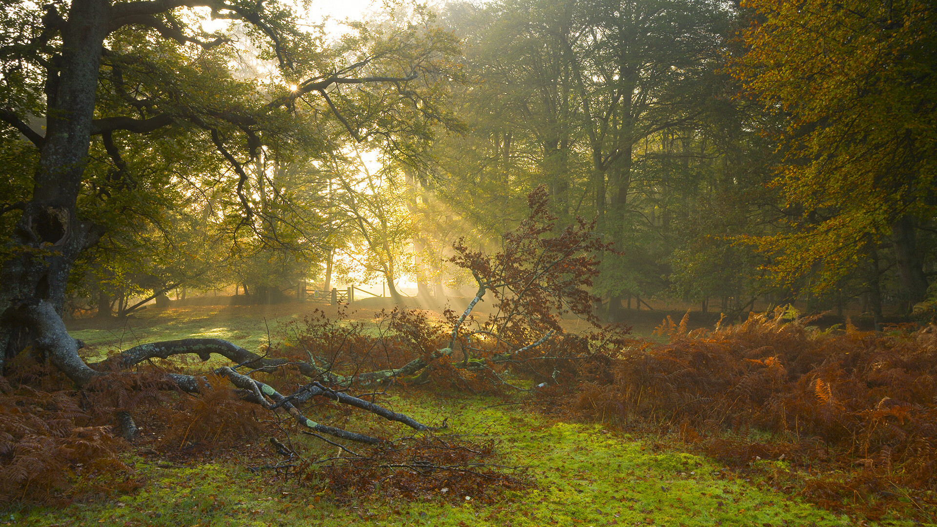 今年季后赛最受关注的对决都是哪些球队？，今年季后赛谁冠军