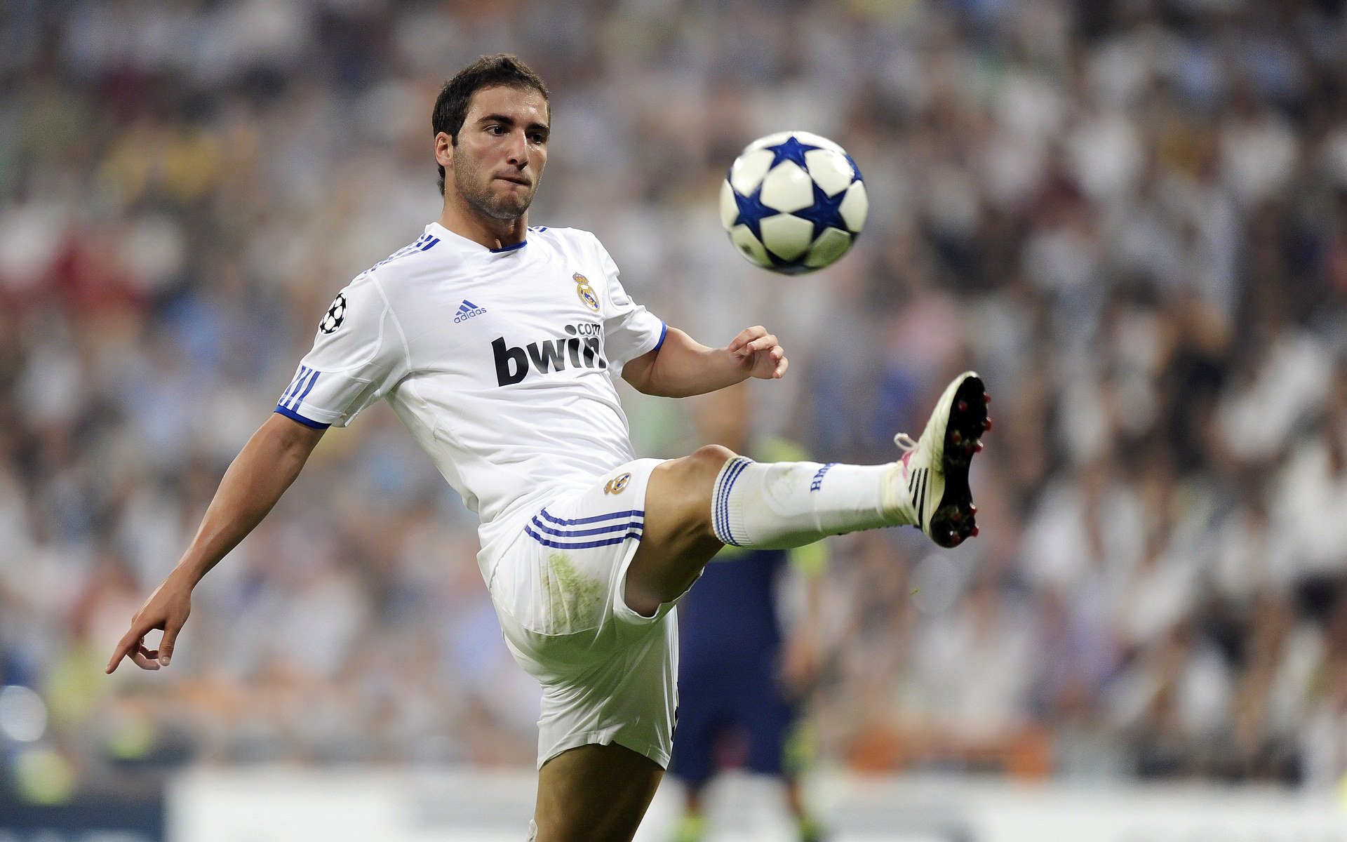 保利娜·普费夫完美入水赢得喝彩，保加利亚普罗夫迪夫音乐舞蹈美术学院