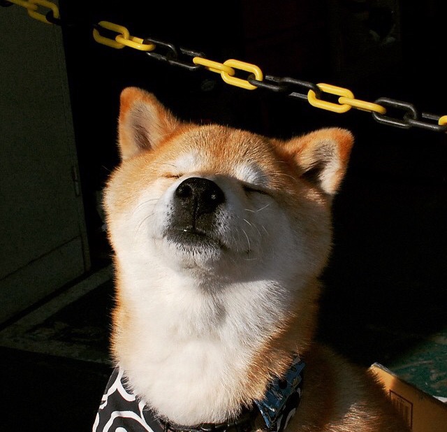 kaiyun体育app-_城市探险赛：穿越历史的跑者之旅_，城市探险的现状