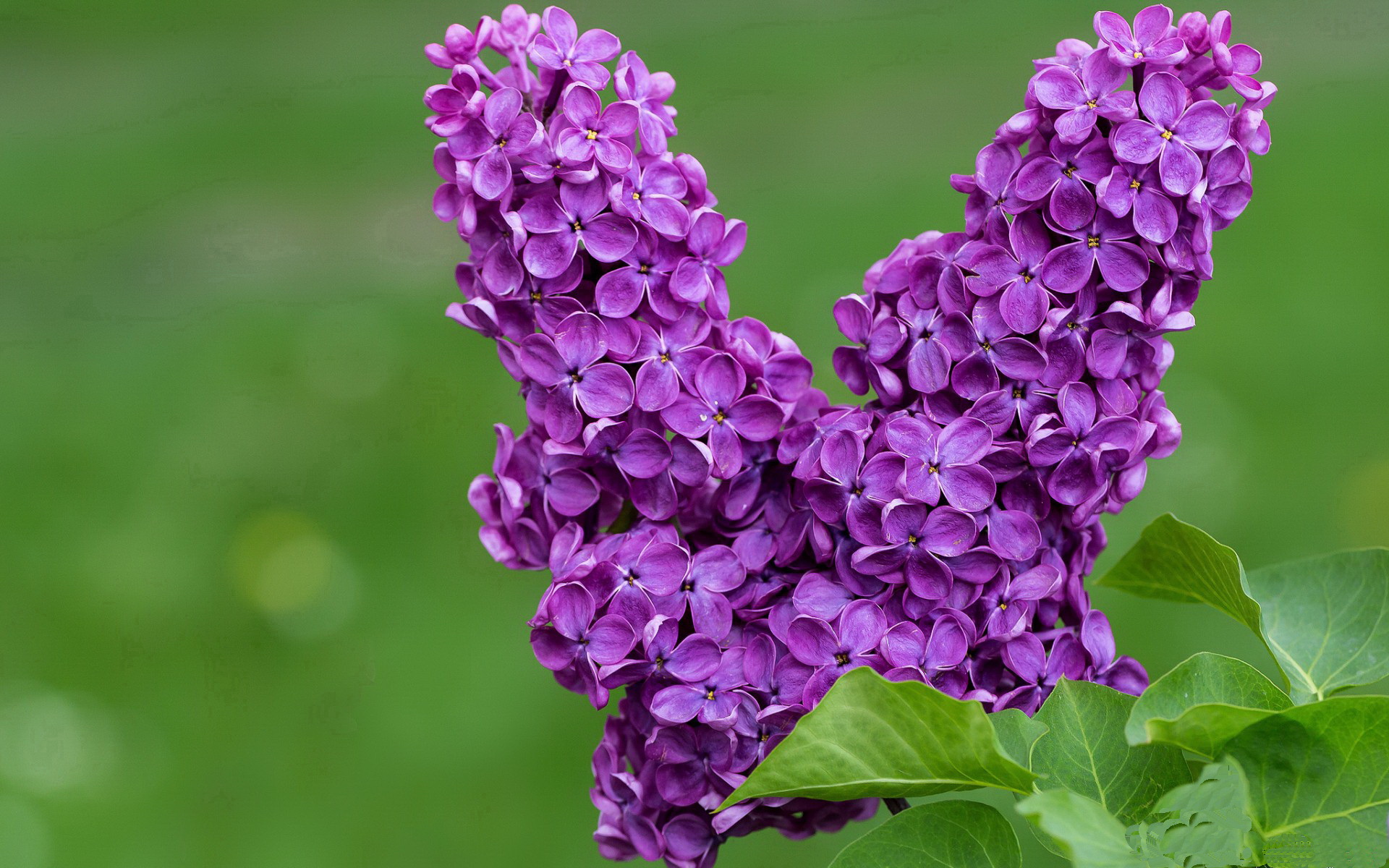 开云体育中国官网-史上最激烈的“冠军争夺战”排行榜，冠军争夺战 综运动